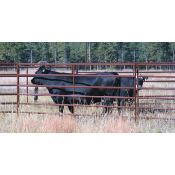 Powder Coated Livestock Panel / Fence